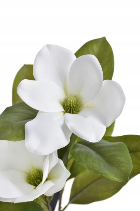 PAN KWIATEK- MAGNOLIA SZTUCZNA KWIATY SZTUCZNE MAGNOLII 64cm white