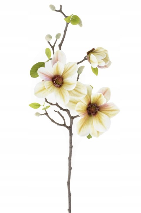 PAN KWIATEK- MAGNOLIA SZTUCZNA KWIATY SZTUCZNE MAGNOLII 72cm cream nowość