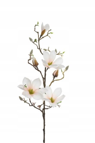 PAN KWIATEK _Magnolia KRÓLEWSKA sztuczna do wazonu sztuczne kwiaty magnolii