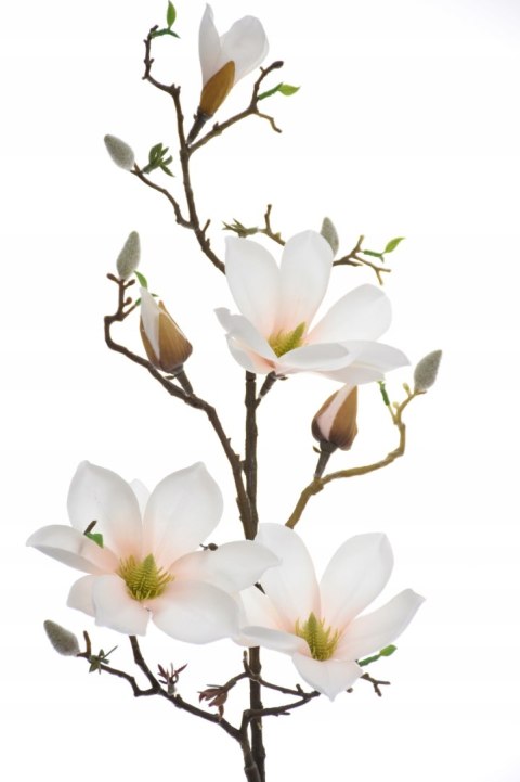 PAN KWIATEK _Magnolia KRÓLEWSKA sztuczna do wazonu sztuczne kwiaty magnolii