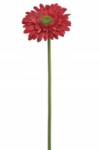 PAN KWIATEK _GERBERA KWIATY SZTUCZNE KWIAT no.10