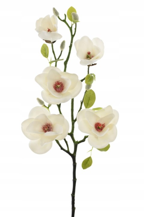 PAN KWIATEK- MAGNOLIA biała SZTUCZNA KWIATY SZTUCZNE MAGNOLII 73cm