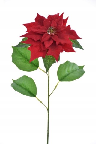 PAN KWIATEK - Poinsettia SZTUCZNA GWIAZDA BELTEJEMSKA CZERWONA ŁODYGA RED