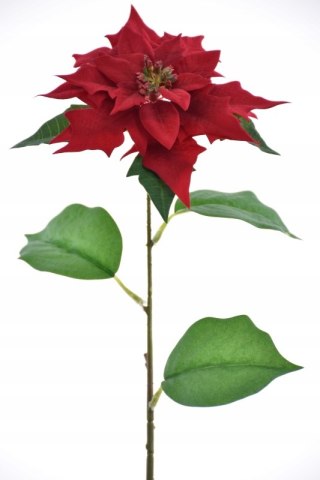 PAN KWIATEK - Poinsettia SZTUCZNA GWIAZDA BELTEJEMSKA CZERWONA ŁODYGA RED