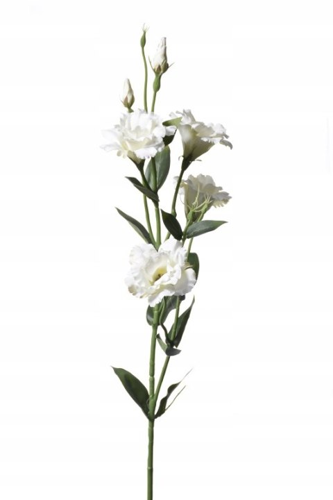 PAN KWIATEK- EUSTOMA KWIAT SZTUCZNY DEKORACYJNY kwiaty sztuczne 85cm cream