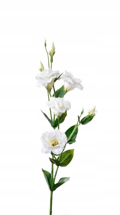 PAN KWIATEK- EUSTOMA SZTUCZNA KRÓLEWSKA BIAŁA KWIATY SZTUCZNE PREMIUM 85cm