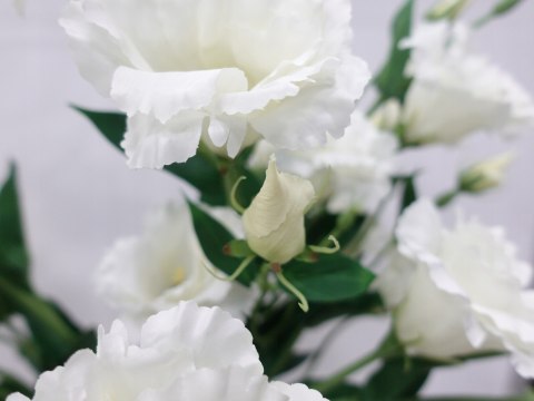 PAN KWIATEK- EUSTOMA SZTUCZNA KRÓLEWSKA BIAŁA KWIATY SZTUCZNE PREMIUM 85cm