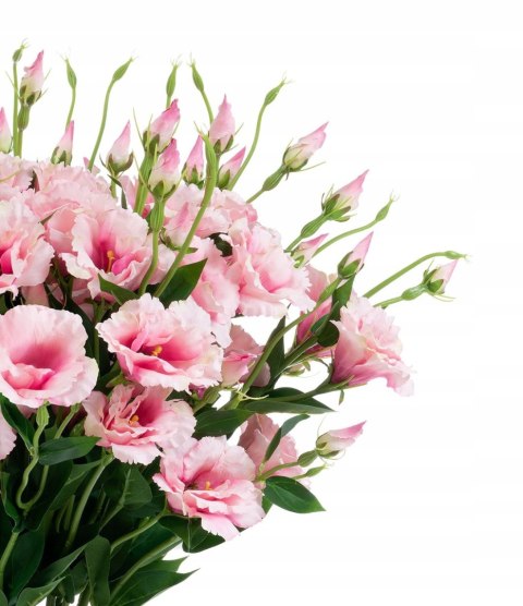 PAN KWIATEK- EUSTOMA kwiaty sztuczne kwiat DEKORACYJNY EUSTOMY 75cm PREMIUM