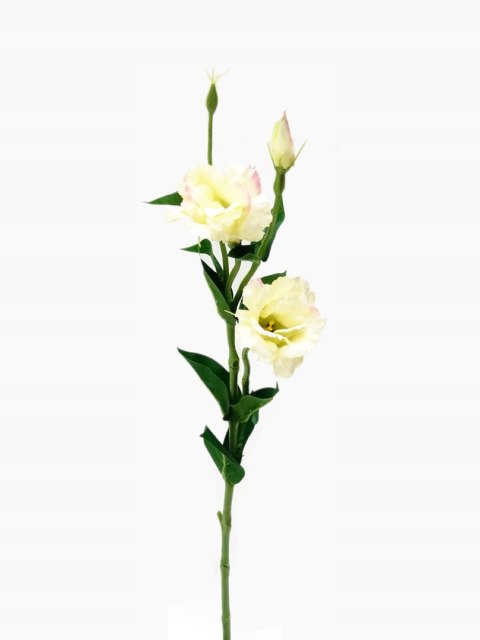 PAN KWIATEK EUSTOMA sztuczna kwiaty sztuczne KWIAT DEKORACYJNY ŚREDNIA 65cm